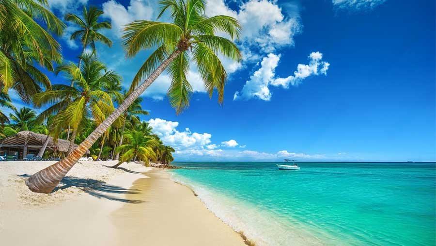 Isla-Catalina-Tour_02