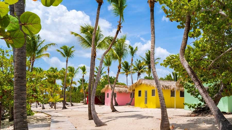 Isla-Catalina-Tour_05