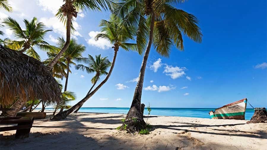 Isla-Catalina-Tour_06