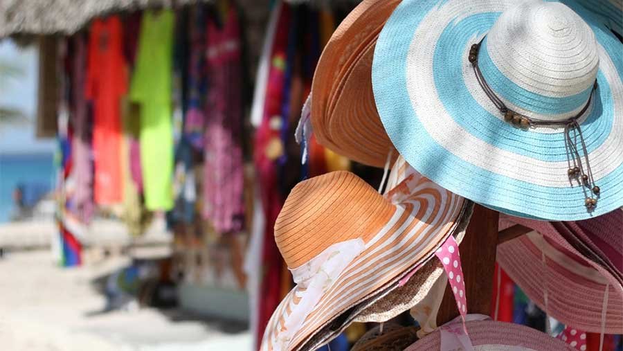 Isla-Catalina-Tour_07